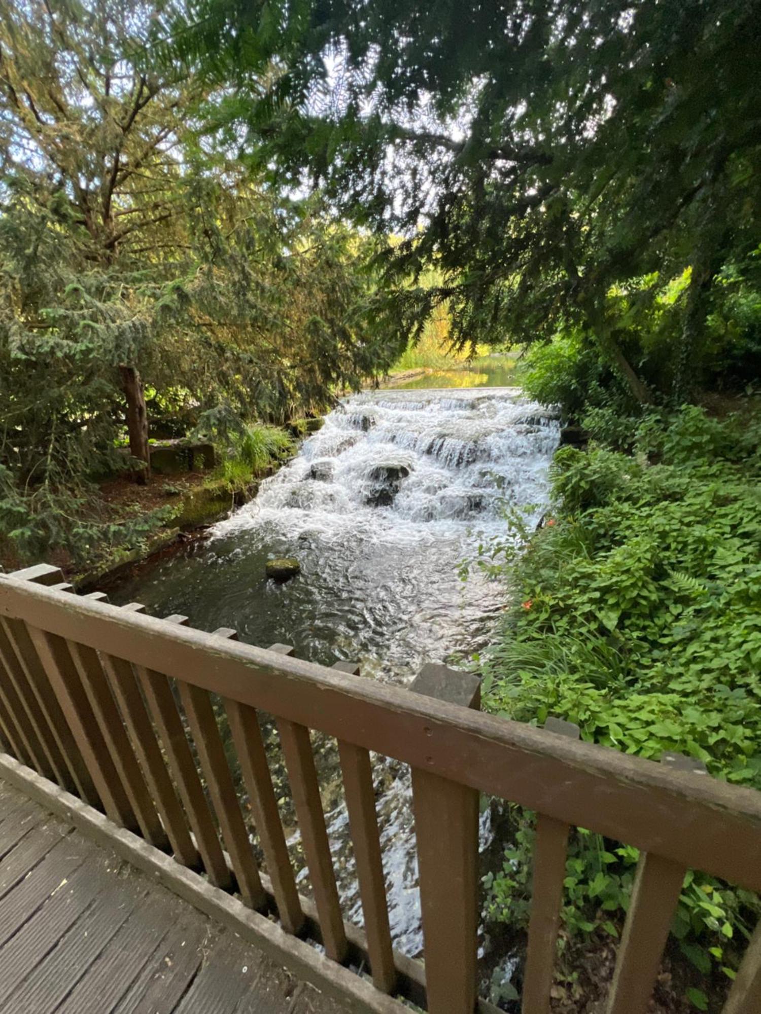 Cosy Private Flat In London, Free Parking On Premise Apartamento Carshalton Exterior foto
